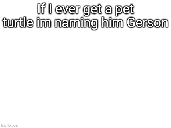 If I ever get a pet turtle im naming him Gerson | made w/ Imgflip meme maker