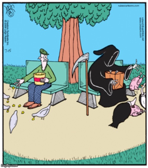 Rubes | image tagged in comics,rubes,grim reaper,feeding the birds | made w/ Imgflip meme maker