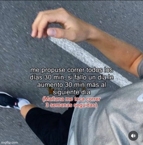 9zolta.jpg