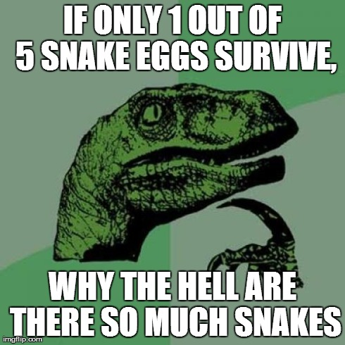 Philosoraptor | IF ONLY 1 OUT OF 5 SNAKE EGGS SURVIVE, WHY THE HELL ARE THERE SO MUCH SNAKES | image tagged in memes,philosoraptor | made w/ Imgflip meme maker