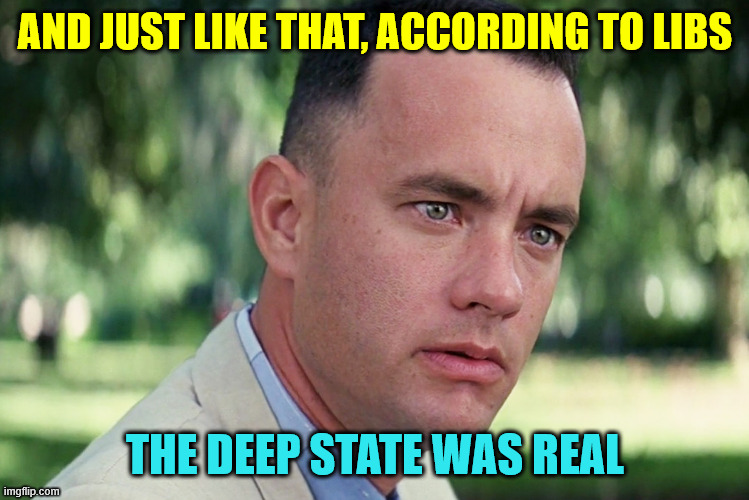 And Just Like That Meme | AND JUST LIKE THAT, ACCORDING TO LIBS THE DEEP STATE WAS REAL | image tagged in memes,and just like that | made w/ Imgflip meme maker
