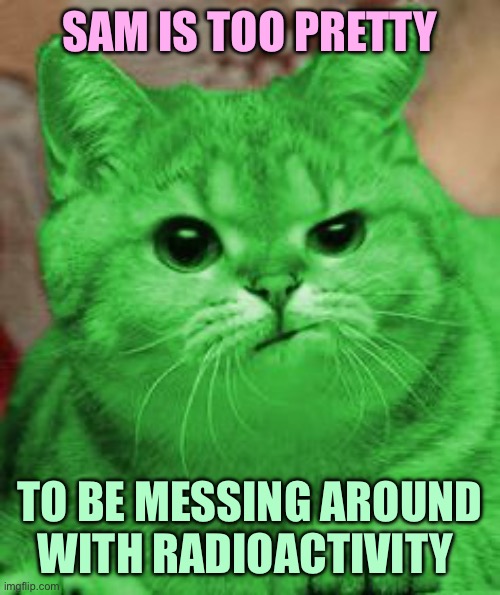 RayCat Annoyed | SAM IS TOO PRETTY TO BE MESSING AROUND WITH RADIOACTIVITY | image tagged in raycat annoyed | made w/ Imgflip meme maker