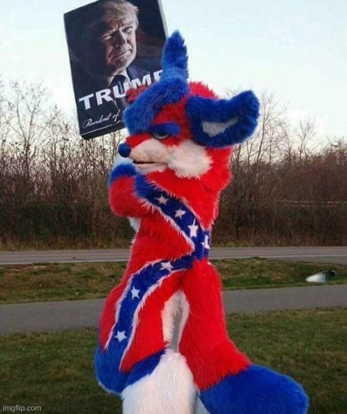 since when were furries political? | image tagged in trump | made w/ Imgflip meme maker