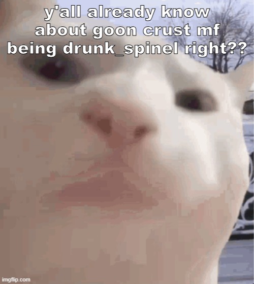 I showed you my | y'all already know about goon crust mf being drunk_spinel right?? | image tagged in i showed you my | made w/ Imgflip meme maker