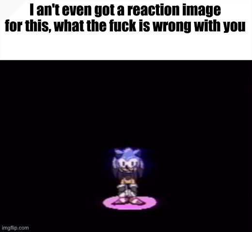 image tagged in sonic questions your sanity | made w/ Imgflip meme maker