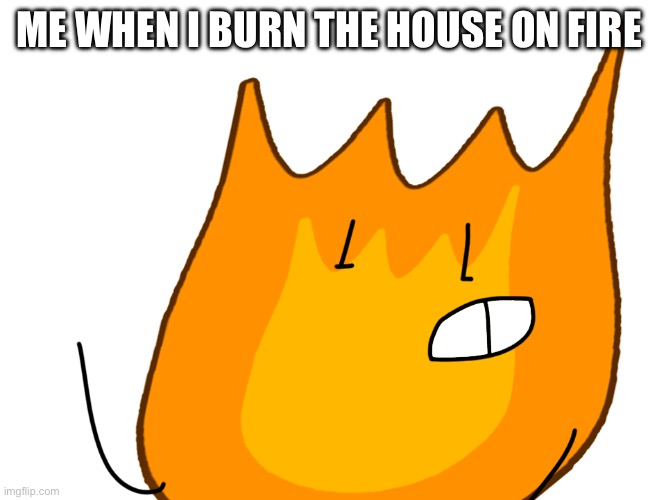 firey smirking at himself | ME WHEN I BURN THE HOUSE ON FIRE | image tagged in firey smirking meme | made w/ Imgflip meme maker