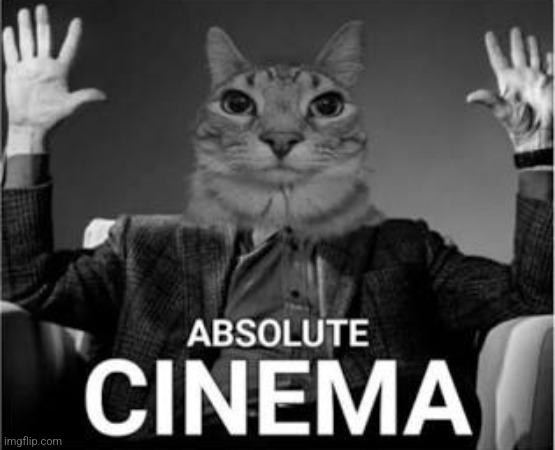Absolute Cinema - Cat | image tagged in absolute cinema - cat | made w/ Imgflip meme maker