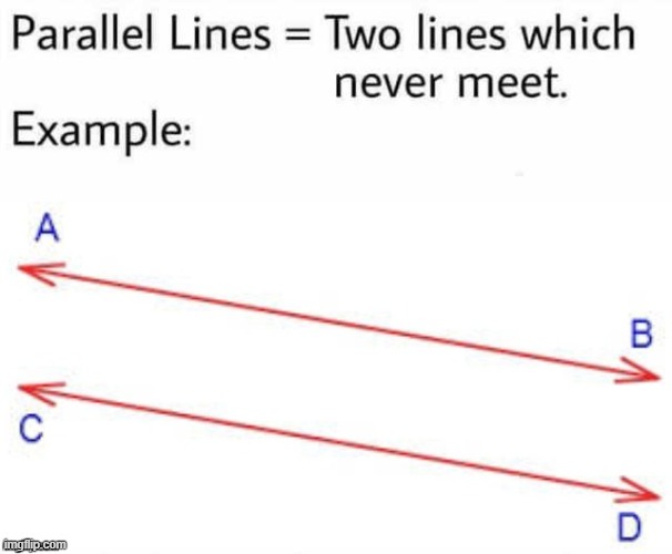 Parallel Lines | image tagged in parallel lines | made w/ Imgflip meme maker