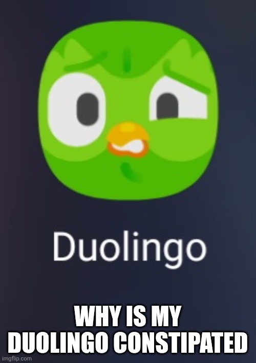 What'd he eat | WHY IS MY DUOLINGO CONSTIPATED | image tagged in duolingo | made w/ Imgflip meme maker