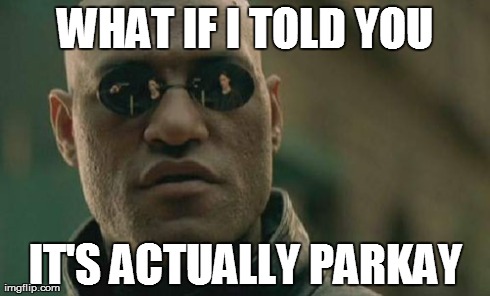 It's not butter either.. | WHAT IF I TOLD YOU IT'S ACTUALLY PARKAY | image tagged in memes,matrix morpheus | made w/ Imgflip meme maker