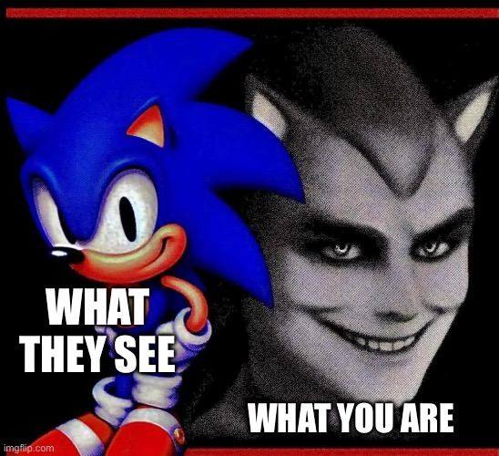 I might look normal but trust me I am not | WHAT THEY SEE; WHAT YOU ARE | image tagged in sonic vs human sonic | made w/ Imgflip meme maker
