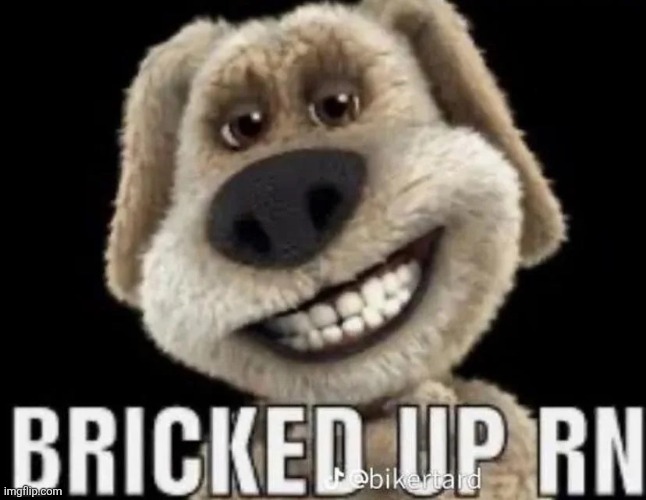 . | image tagged in bricked up rn | made w/ Imgflip meme maker
