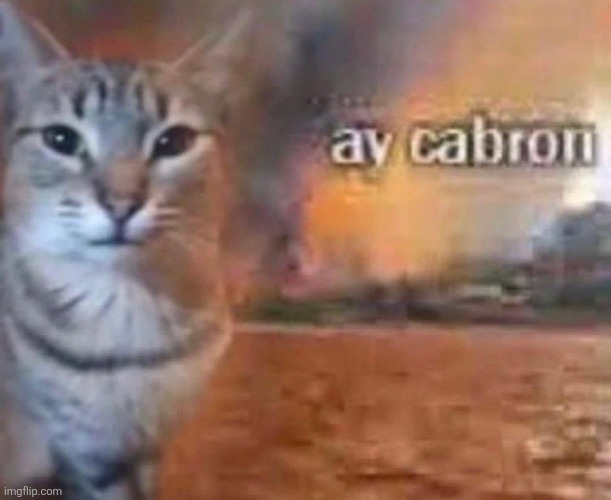 . | image tagged in ay cabron | made w/ Imgflip meme maker