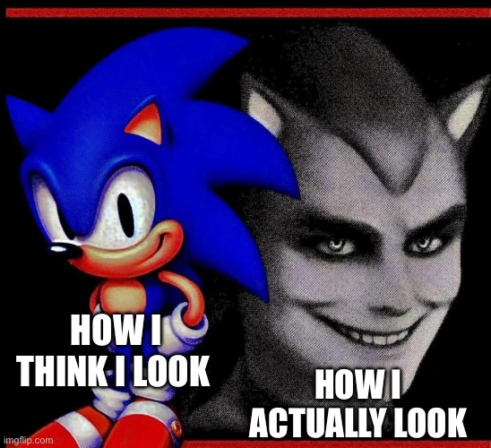 I don’t know what to title this | HOW I THINK I LOOK; HOW I ACTUALLY LOOK | image tagged in sonic vs human sonic | made w/ Imgflip meme maker