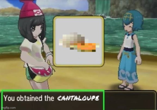 you have obtained the CANTALOUPE | image tagged in you have obtained the cantaloupe | made w/ Imgflip meme maker