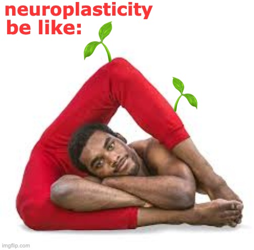 Keep finding new challenges | neuroplasticity; be like: | image tagged in contortionist,brain,growth,learning,joy | made w/ Imgflip meme maker