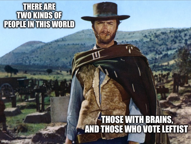 The good the bad and the ugly | THERE ARE TWO KINDS OF PEOPLE IN THIS WORLD; THOSE WITH BRAINS, AND THOSE WHO VOTE LEFTIST | image tagged in the good the bad and the ugly | made w/ Imgflip meme maker