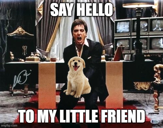 SAY HELLO; TO MY LITTLE FRIEND | image tagged in memes,meme,scarface,al pacino,funny | made w/ Imgflip meme maker