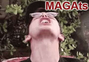 9zp97a.gif