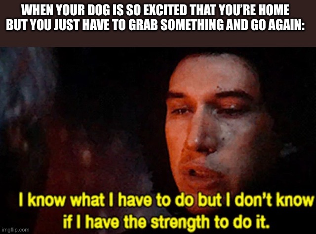 I know what I have to do but I don’t know if I have the strength | WHEN YOUR DOG IS SO EXCITED THAT YOU’RE HOME BUT YOU JUST HAVE TO GRAB SOMETHING AND GO AGAIN: | image tagged in i know what i have to do but i don t know if i have the strength | made w/ Imgflip meme maker