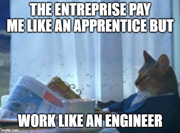 work like an engineer | THE ENTREPRISE PAY ME LIKE AN APPRENTICE BUT; WORK LIKE AN ENGINEER | image tagged in memes,i should buy a boat cat | made w/ Imgflip meme maker