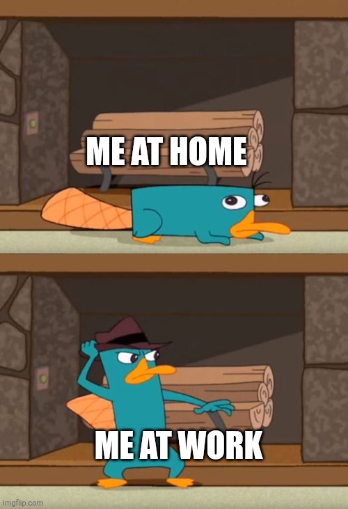 Home vs Work | ME AT HOME; ME AT WORK | image tagged in perry the platypus,work,home | made w/ Imgflip meme maker