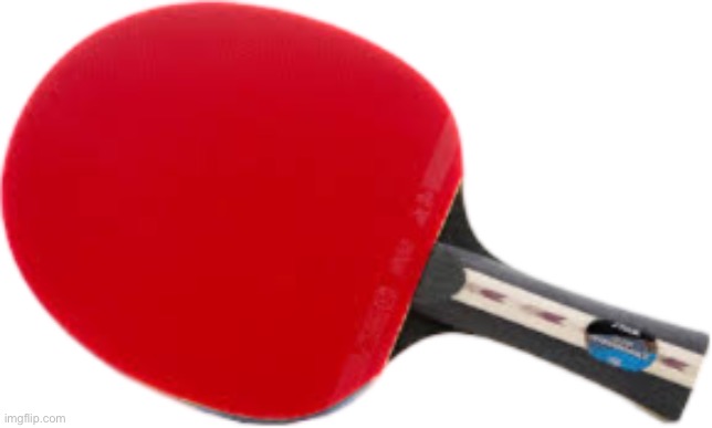 Table Tennis Bat | image tagged in table tennis bat | made w/ Imgflip meme maker
