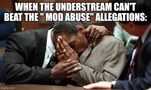 allegations snoop dog | WHEN THE UNDERSTREAM CAN'T BEAT THE " MOD ABUSE" ALLEGATIONS: | image tagged in allegations snoop dog | made w/ Imgflip meme maker