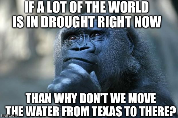 Some places have to much water, some not enough | IF A LOT OF THE WORLD IS IN DROUGHT RIGHT NOW; THAN WHY DON’T WE MOVE THE WATER FROM TEXAS TO THERE? | image tagged in deep thoughts,stupid,ideas,water,thinking | made w/ Imgflip meme maker