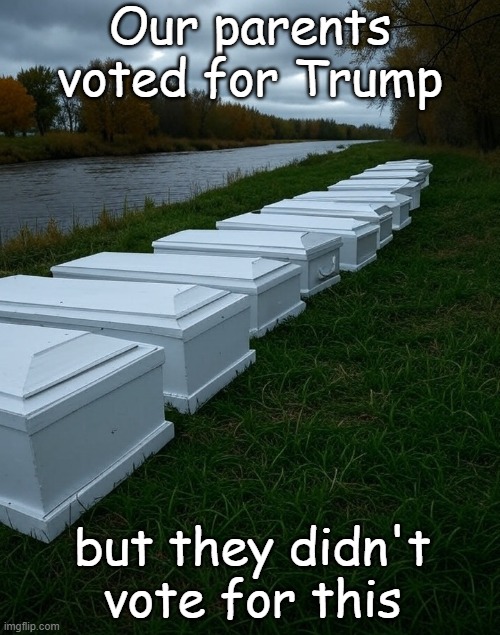 9zph7i.jpg