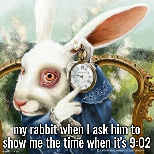 white rabbit with the clock | my rabbit when I ask him to show me the time when it's 9:02 | image tagged in white rabbit with the clock | made w/ Imgflip meme maker