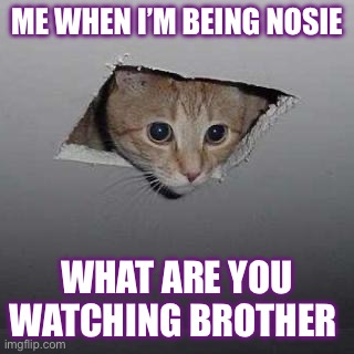 Ceiling Cat | ME WHEN I’M BEING NOSIE; WHAT ARE YOU WATCHING BROTHER | image tagged in memes,ceiling cat | made w/ Imgflip meme maker