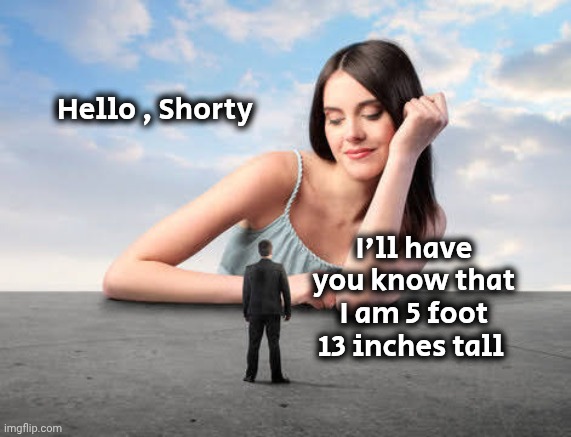 Giant woman | Hello , Shorty I'll have you know that I am 5 foot 13 inches tall | image tagged in giant woman | made w/ Imgflip meme maker