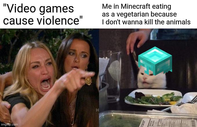 Bro's a herbivore... | "Video games cause violence"; Me in Minecraft eating as a vegetarian because I don't wanna kill the animals | image tagged in memes,woman yelling at cat | made w/ Imgflip meme maker