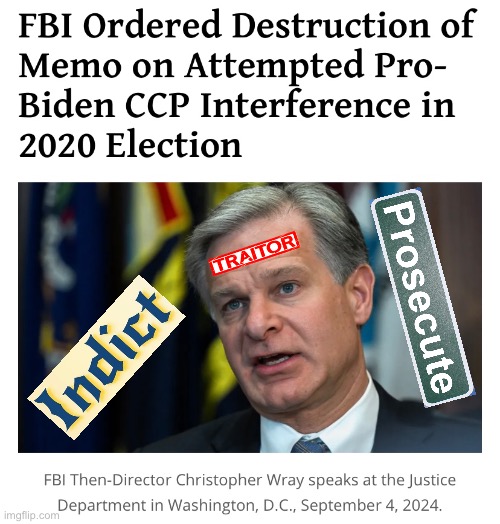 Christopher Wray is a TRAITOR! | image tagged in fbi,us government,traitor | made w/ Imgflip meme maker