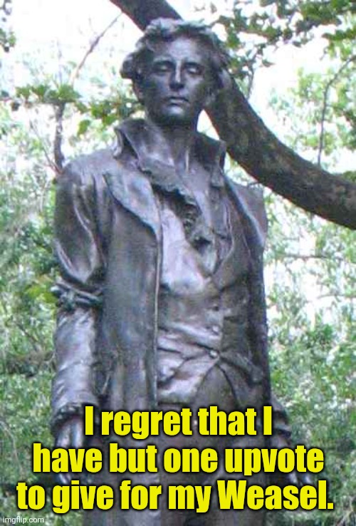 Nathan Hale "I only regret that I have but one ______ to give." | I regret that I have but one upvote to give for my Weasel. | image tagged in nathan hale i only regret that i have but one ______ to give | made w/ Imgflip meme maker