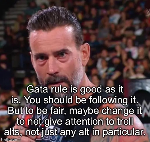 CM Punk | Gata rule is good as it is. You should be following it. But to be fair, maybe change it to not give attention to troll alts, not just any alt in particular. | image tagged in cm punk | made w/ Imgflip meme maker