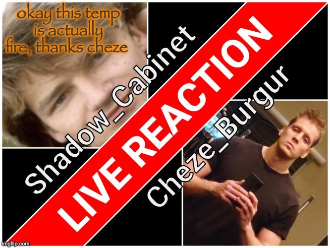 Shadow and Cheze Shared temp | okay this temp is actually fire, thanks cheze | image tagged in shadow and cheze shared temp | made w/ Imgflip meme maker
