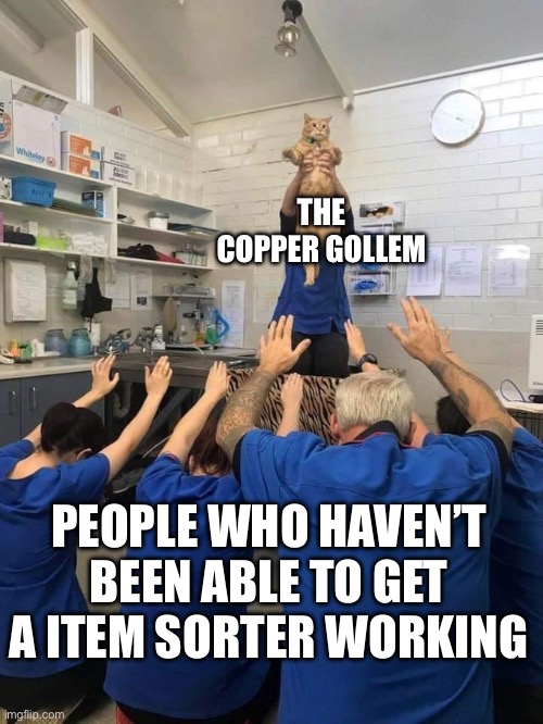 Me included | THE COPPER GOLLEM; PEOPLE WHO HAVEN’T BEEN ABLE TO GET A ITEM SORTER WORKING | image tagged in all hail the cat | made w/ Imgflip meme maker