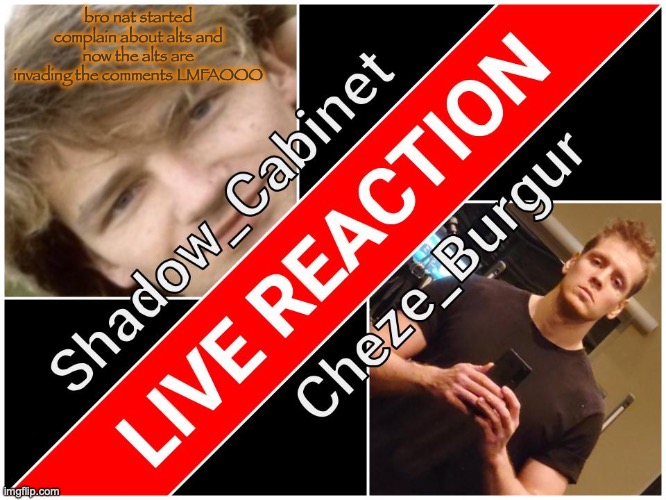 Shadow and Cheze Shared temp | bro nat started complain about alts and now the alts are invading the comments LMFAOOO | image tagged in shadow and cheze shared temp | made w/ Imgflip meme maker