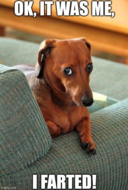 Ok It was Me I Farted! | OK, IT WAS ME, I FARTED! | image tagged in chris joines | made w/ Imgflip meme maker