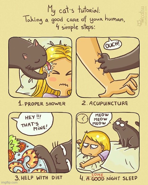They’re always so helpful (and sometimes painful)! | image tagged in cats,comics,cat tutorial | made w/ Imgflip meme maker
