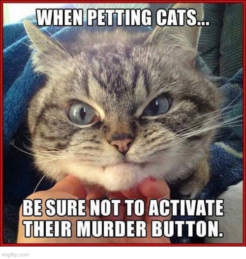 Some buttons are more murderous than others… | image tagged in cats,petting cats,murder button | made w/ Imgflip meme maker