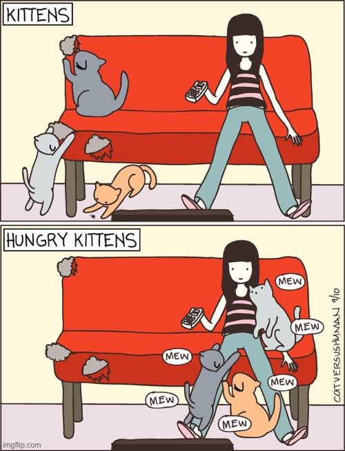 That’s why you need furniture made out of stainless steel… | image tagged in cats,comics,kittens,hungry kittens,tear up the couch | made w/ Imgflip meme maker