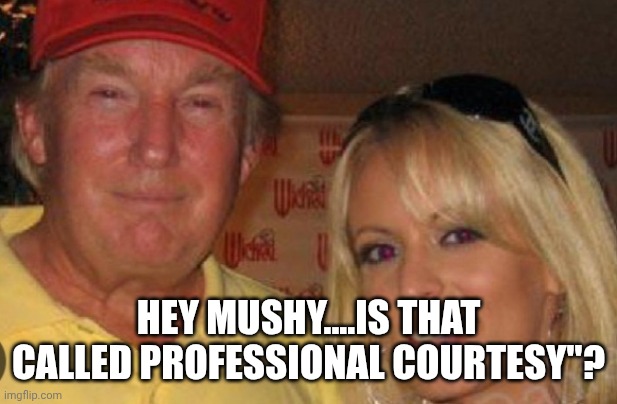 Side chick | HEY MUSHY....IS THAT CALLED PROFESSIONAL COURTESY"? | image tagged in side chick | made w/ Imgflip meme maker