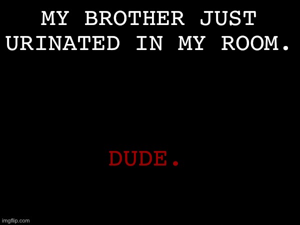 Dea Drizzy style temp | MY BROTHER JUST URINATED IN MY ROOM. DUDE. | image tagged in dea drizzy style temp | made w/ Imgflip meme maker