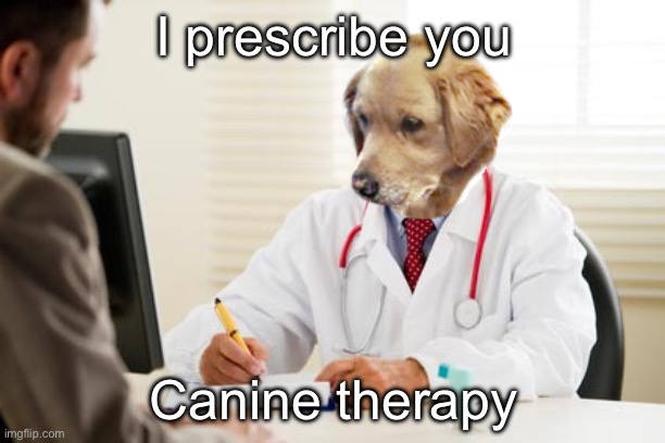 Canine Therapy- a real thing | I prescribe you; Canine therapy | image tagged in doctor dog no idea what i'm doing,therapy | made w/ Imgflip meme maker
