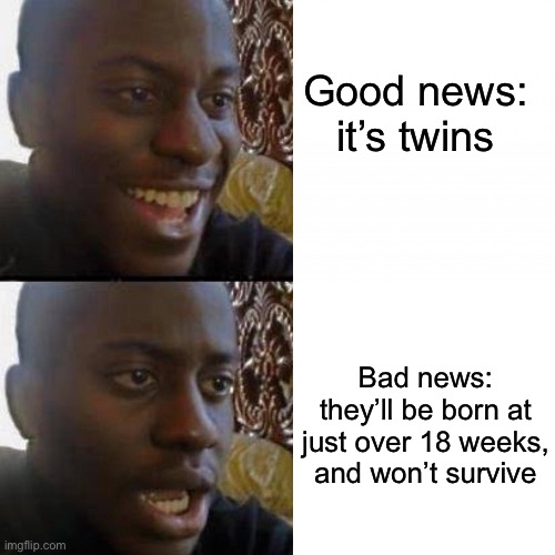 Twins? | Good news: it’s twins; Bad news: they’ll be born at just over 18 weeks, and won’t survive | image tagged in yes no guy,twins | made w/ Imgflip meme maker