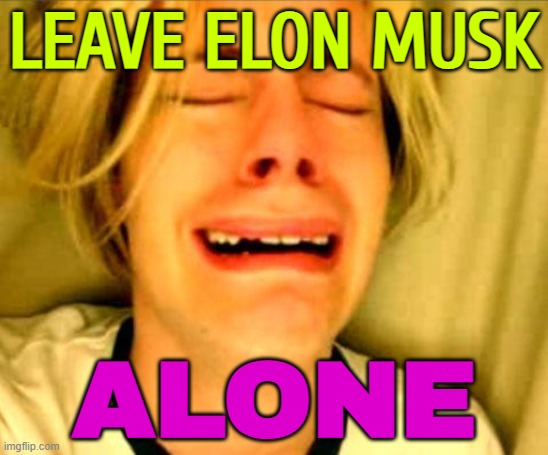 Leave Elon Musk Alone | LEAVE ELON MUSK; ALONE | image tagged in leave britney alone,elon musk,immigration,donald trump,deportation,south africa | made w/ Imgflip meme maker