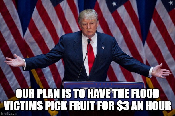 Maga | OUR PLAN IS TO HAVE THE FLOOD VICTIMS PICK FRUIT FOR $3 AN HOUR | image tagged in donald trump | made w/ Imgflip meme maker